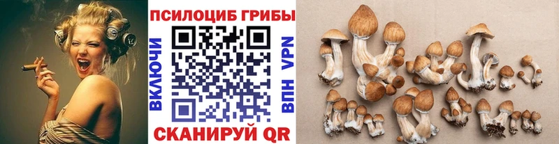 Псилоцибиновые грибы Psilocybine cubensis  где можно купить наркотик  Клин 